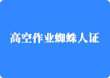 大鸡巴操美女美逼逼高清无码对话视频高空作业蜘蛛人证